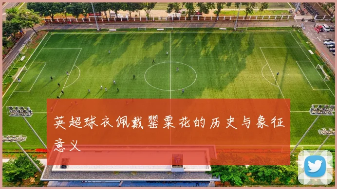 英超球衣佩戴罂粟花的历史与象征意义