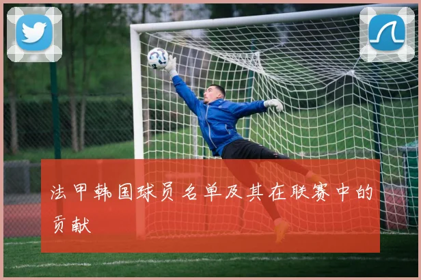 法甲韩国球员名单及其在联赛中的贡献