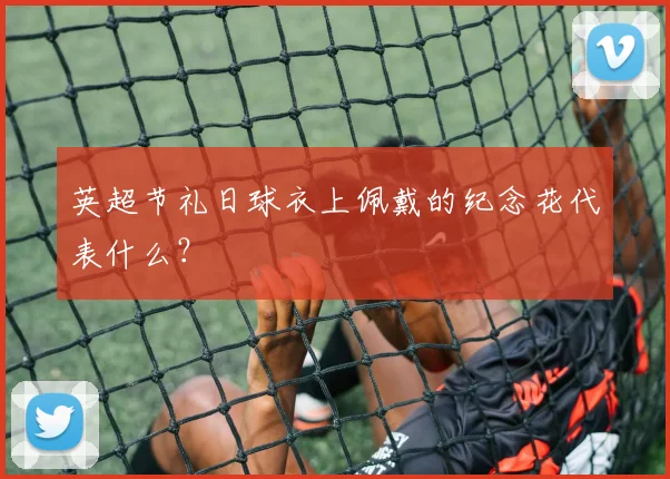 英超节礼日球衣上佩戴的纪念花代表什么？