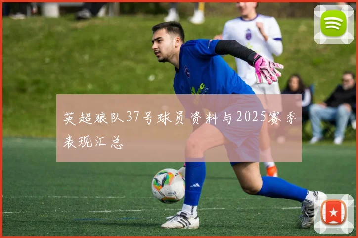 英超狼队37号球员资料与2025赛季表现汇总