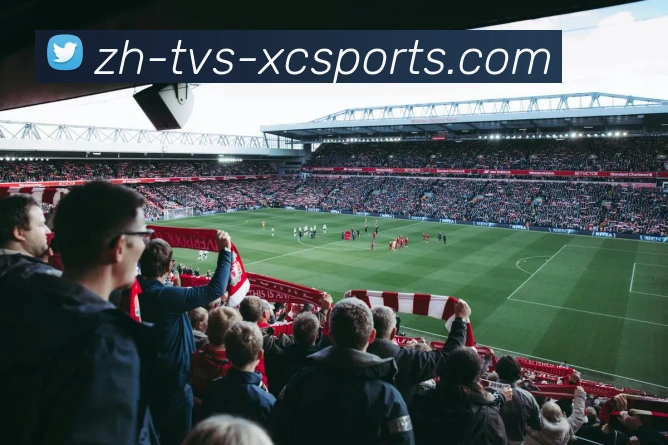 杏彩体育平台生态图