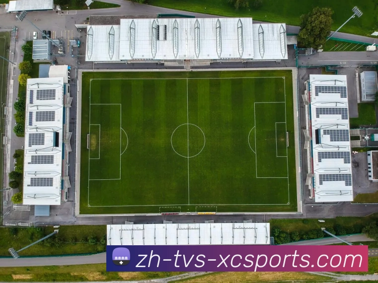 杏彩体育全站App